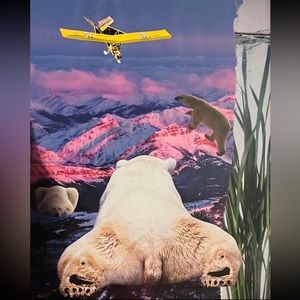 Unframed Print